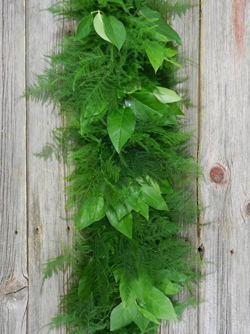 PLUMOSUS & SALAL 25 FOOT GREEN GARLAND